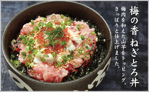 梅の香 ねぎとろ丼